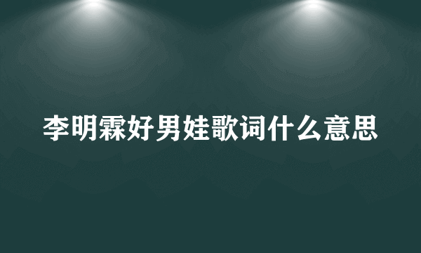 李明霖好男娃歌词什么意思