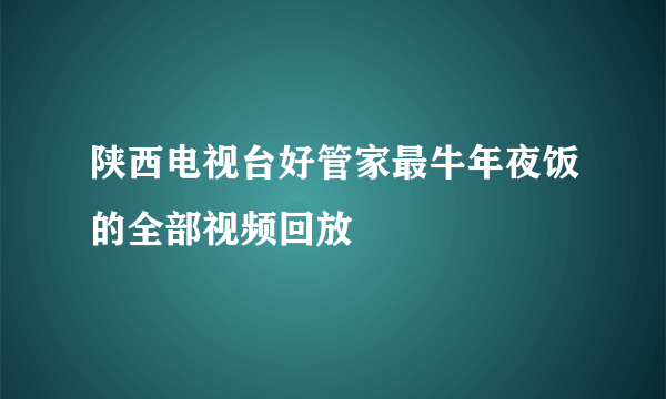 陕西电视台好管家最牛年夜饭的全部视频回放