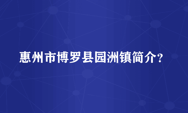 惠州市博罗县园洲镇简介？