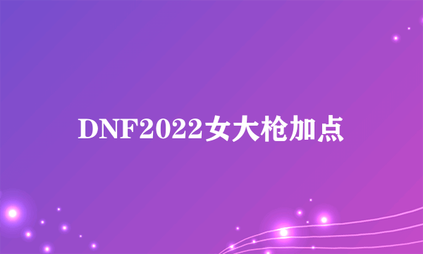 DNF2022女大枪加点