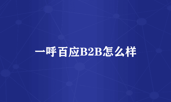 一呼百应B2B怎么样