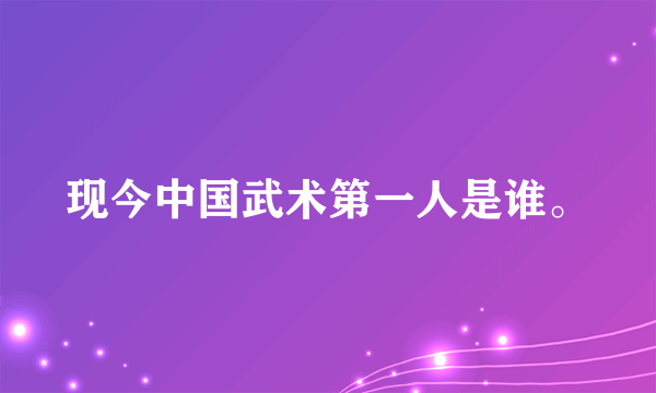 现今中国武术第一人是谁。