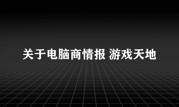 关于电脑商情报 游戏天地