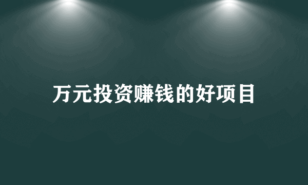 万元投资赚钱的好项目