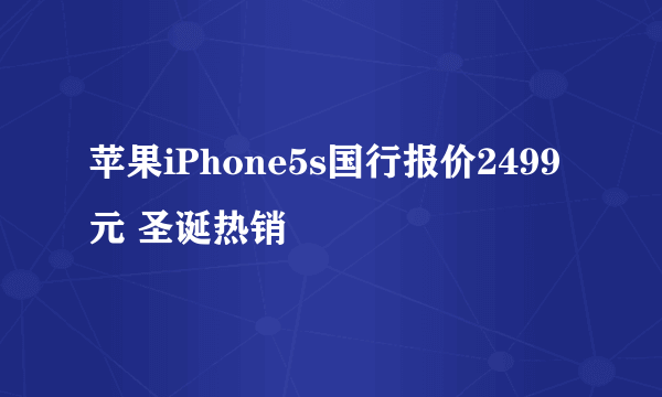 苹果iPhone5s国行报价2499元 圣诞热销