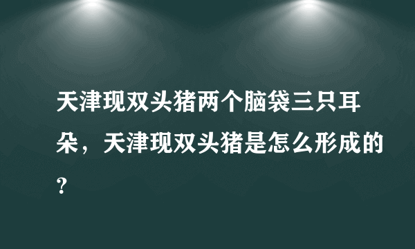 天津现双头猪两个脑袋三只耳朵，天津现双头猪是怎么形成的？