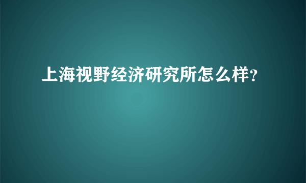 上海视野经济研究所怎么样？