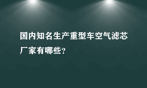 国内知名生产重型车空气滤芯厂家有哪些？