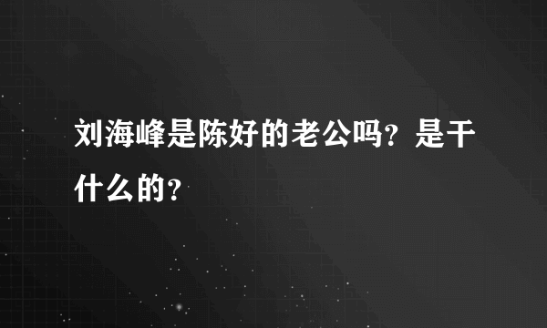 刘海峰是陈好的老公吗？是干什么的？