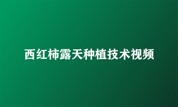 西红柿露天种植技术视频