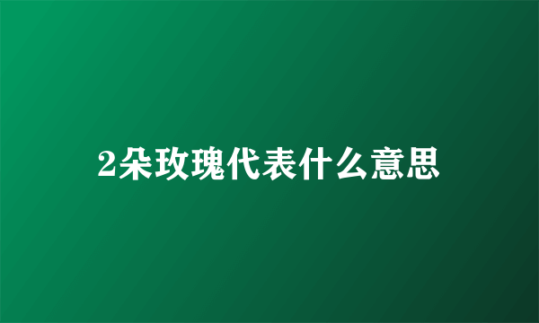 2朵玫瑰代表什么意思