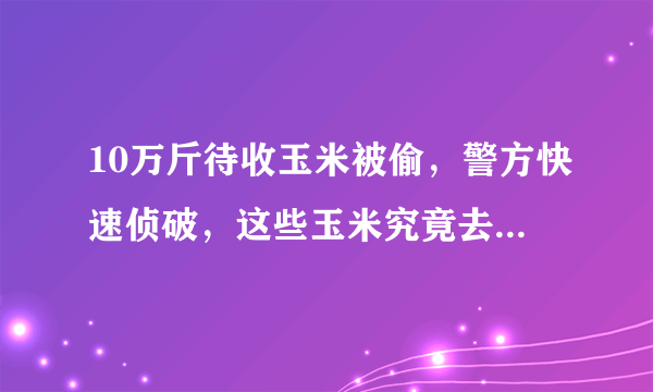 10万斤待收玉米被偷，警方快速侦破，这些玉米究竟去哪儿了？