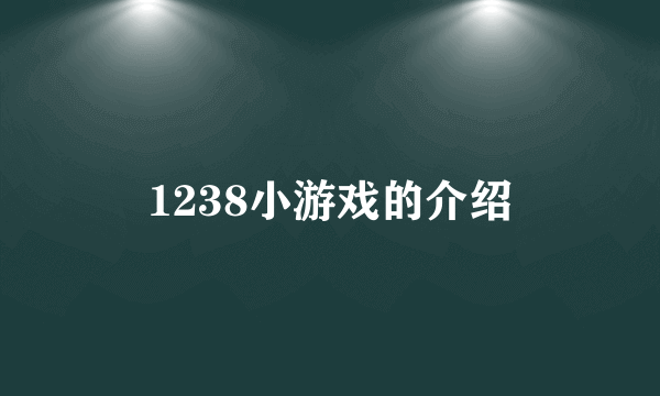 1238小游戏的介绍