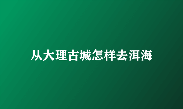 从大理古城怎样去洱海