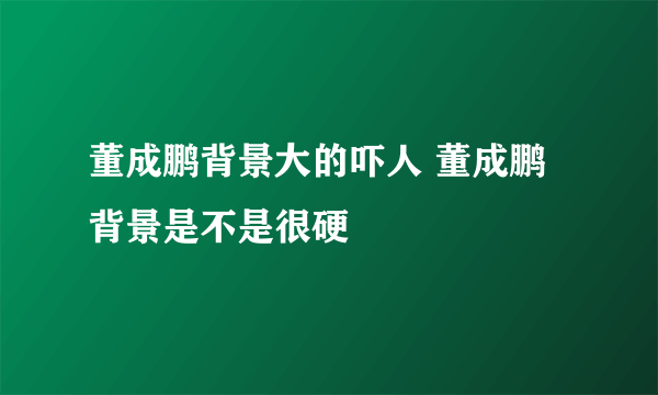 董成鹏背景大的吓人 董成鹏背景是不是很硬