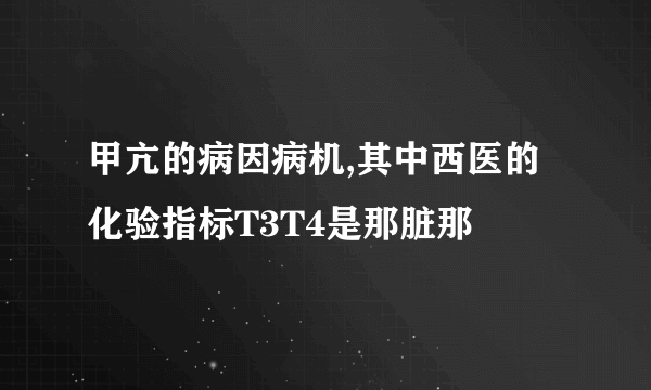 甲亢的病因病机,其中西医的化验指标T3T4是那脏那