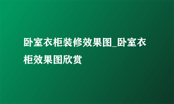 卧室衣柜装修效果图_卧室衣柜效果图欣赏