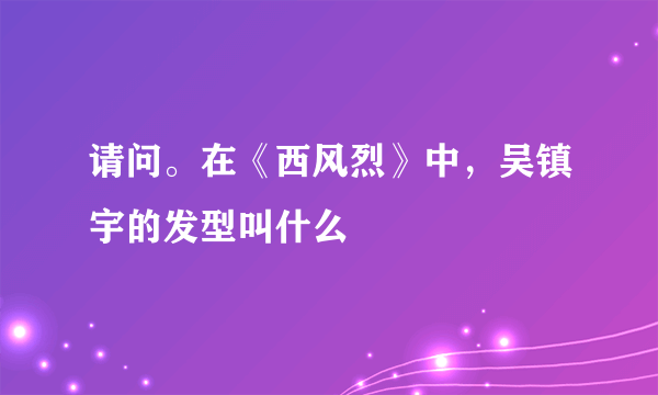 请问。在《西风烈》中，吴镇宇的发型叫什么