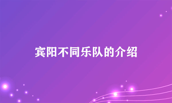 宾阳不同乐队的介绍