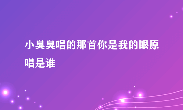 小臭臭唱的那首你是我的眼原唱是谁