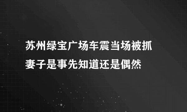 苏州绿宝广场车震当场被抓 妻子是事先知道还是偶然