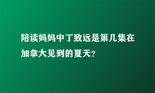 陪读妈妈中丁致远是第几集在加拿大见到的夏天？