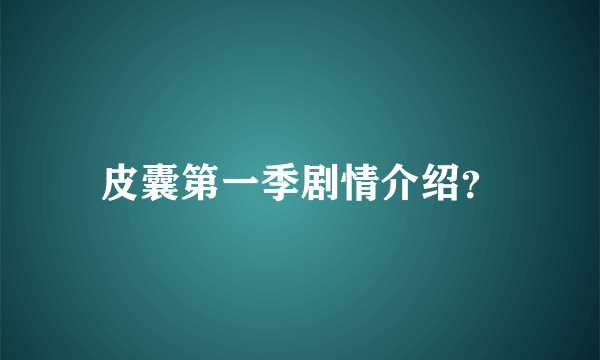 皮囊第一季剧情介绍？