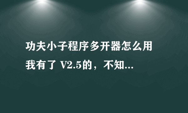 功夫小子程序多开器怎么用 我有了 V2.5的，不知怎么用..求助