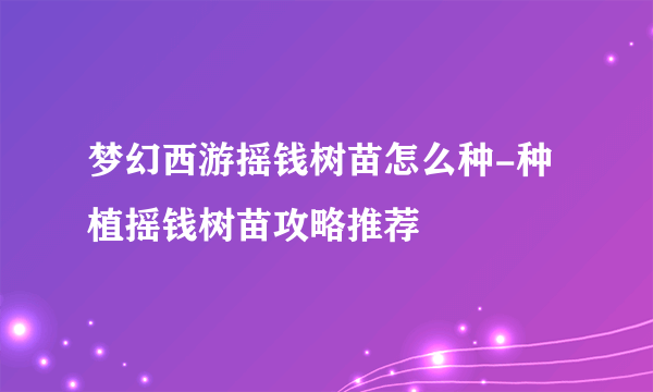 梦幻西游摇钱树苗怎么种-种植摇钱树苗攻略推荐