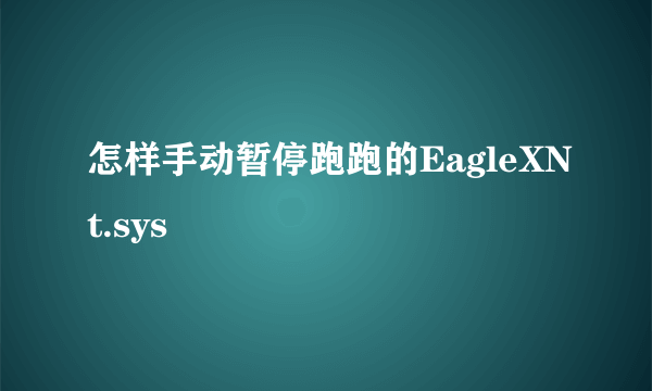 怎样手动暂停跑跑的EagleXNt.sys