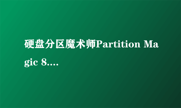 硬盘分区魔术师Partition Magic 8.0简装汉化和V 8.05的英文版有什么区别?