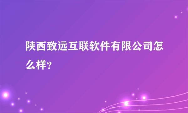 陕西致远互联软件有限公司怎么样？