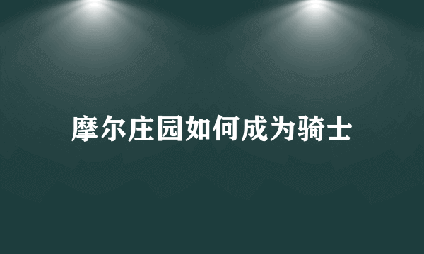 摩尔庄园如何成为骑士