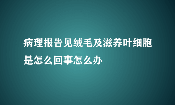 病理报告见绒毛及滋养叶细胞是怎么回事怎么办