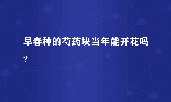 早春种的芍药块当年能开花吗？