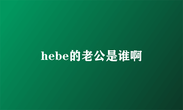 hebe的老公是谁啊