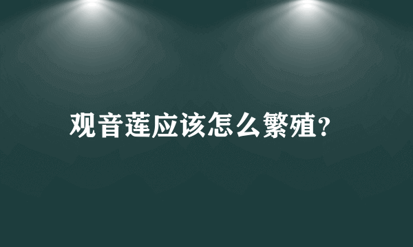 观音莲应该怎么繁殖？