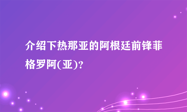 介绍下热那亚的阿根廷前锋菲格罗阿(亚)？