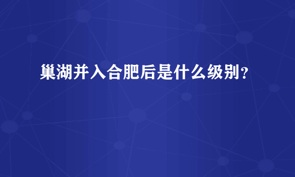 巢湖并入合肥后是什么级别？