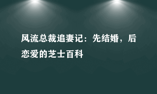 风流总裁追妻记：先结婚，后恋爱的芝士百科