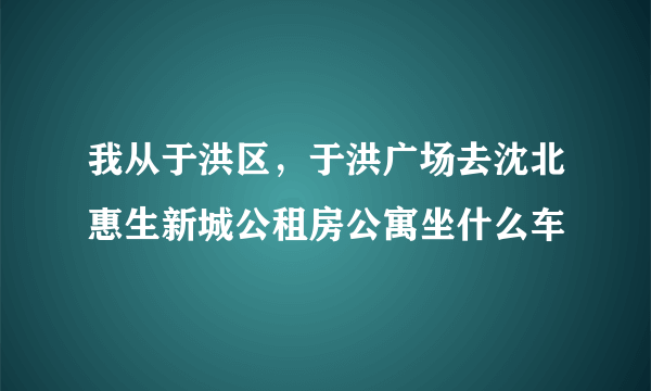 我从于洪区，于洪广场去沈北惠生新城公租房公寓坐什么车