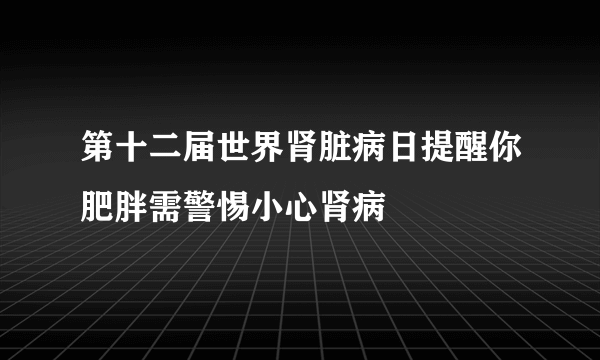 第十二届世界肾脏病日提醒你肥胖需警惕小心肾病