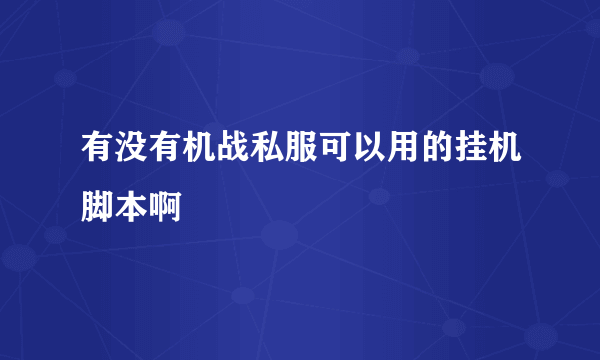 有没有机战私服可以用的挂机脚本啊