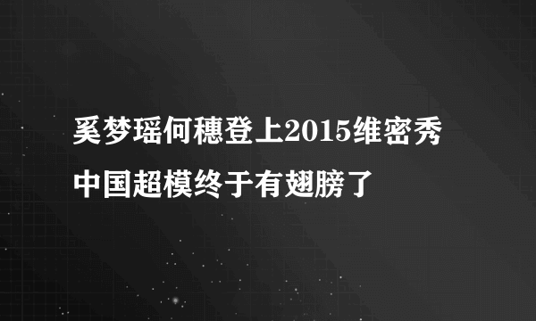 奚梦瑶何穗登上2015维密秀 中国超模终于有翅膀了