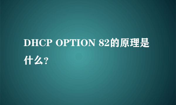 DHCP OPTION 82的原理是什么？