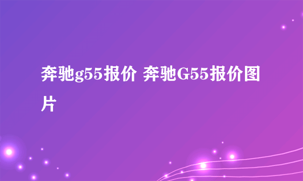 奔驰g55报价 奔驰G55报价图片