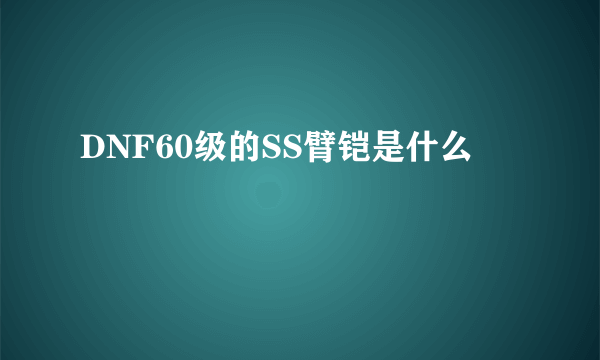 DNF60级的SS臂铠是什么