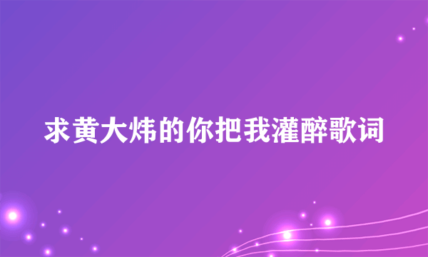 求黄大炜的你把我灌醉歌词