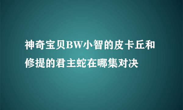 神奇宝贝BW小智的皮卡丘和修提的君主蛇在哪集对决