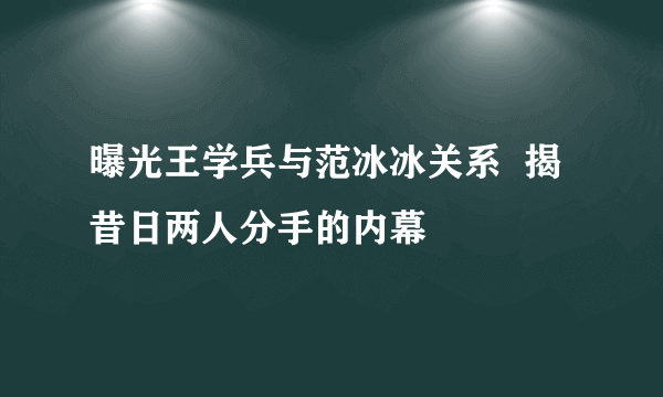 曝光王学兵与范冰冰关系  揭昔日两人分手的内幕